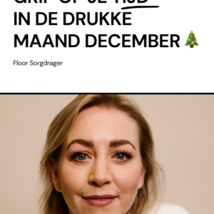 E-Book "Grip op je tijd: in de drukke maand december".